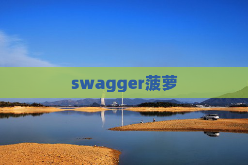 swagger菠萝
